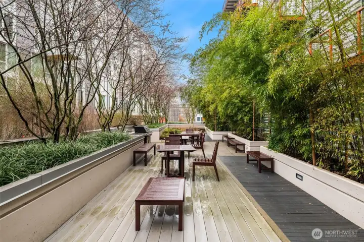 Outdoor entertaining spacce