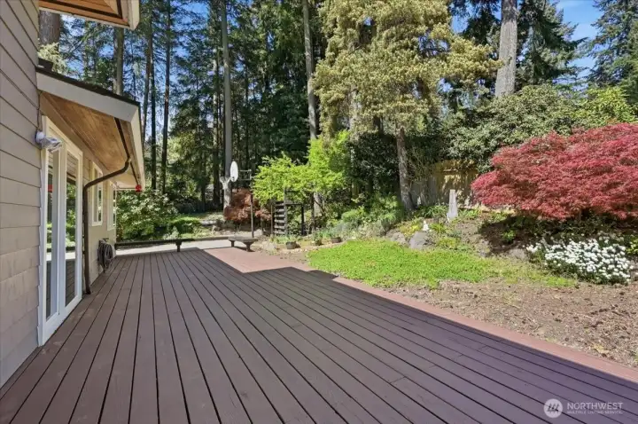 This large backyard features a half basketball court, play structure.