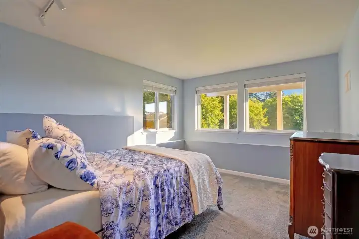 Spacious lower-level bedroom with abundant natural light.