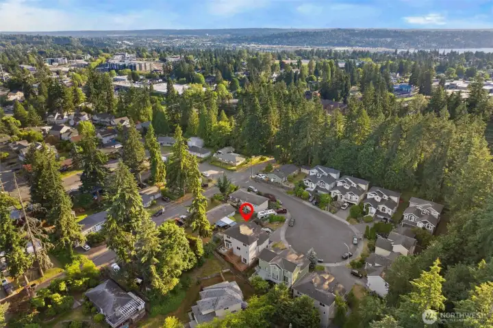 Aerial view of neighborhood and surrounding area