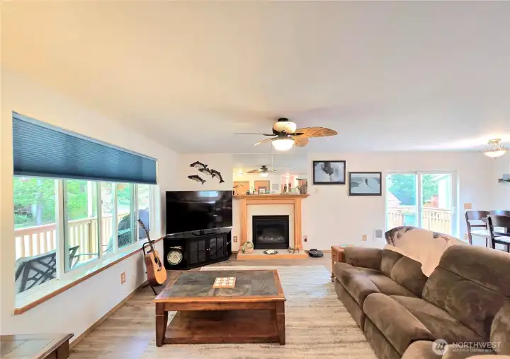 Propane Fireplace