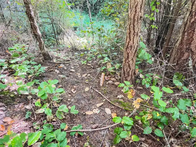 Trail to Discovery Crest rd