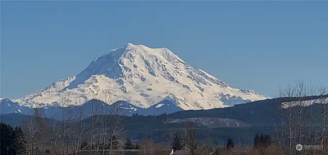 View of Mount Rainier from the entrance of the development.