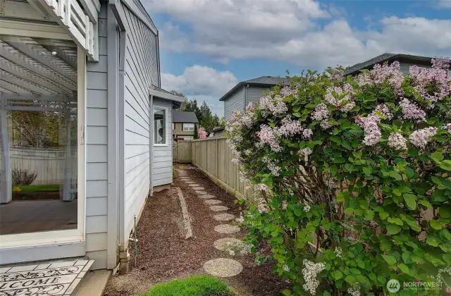 Side Yard