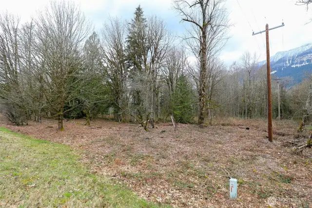 Cleared Recreational lot