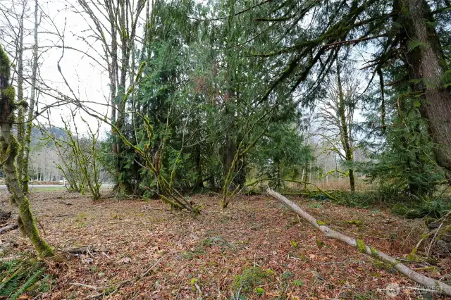 End of the property. Buyer to verify.