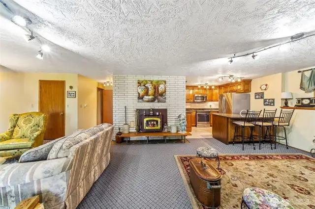 Lower level fireplace with wood stove insert.