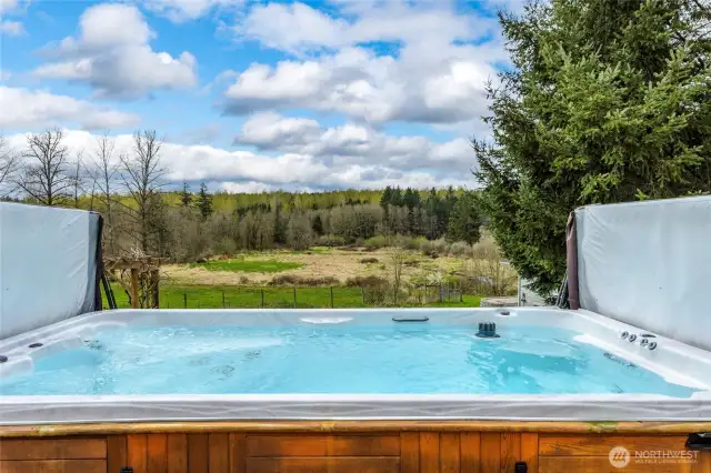 Amazing views from the swim spa/hot tub.