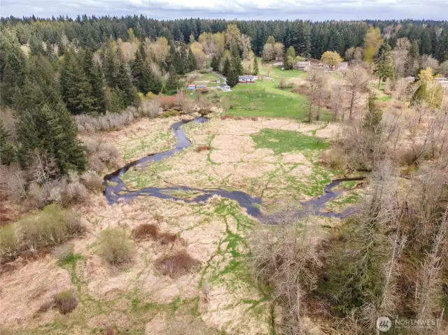 Your own creek with fish and other wildlife.