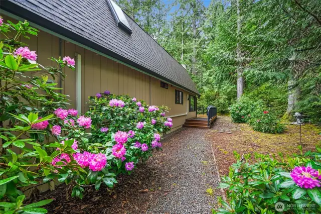 Natural vegetation makes this home feel like it has always been here, so comfy and cozy.