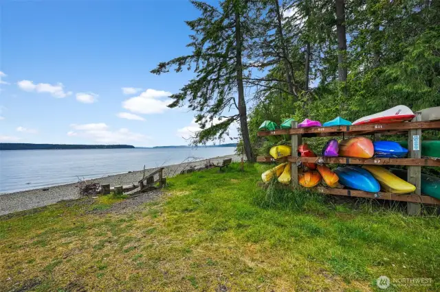 Kayaking anyone?