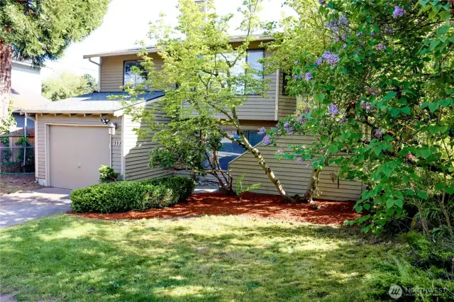 Gorgeous, mature landscaping in frontyard.
