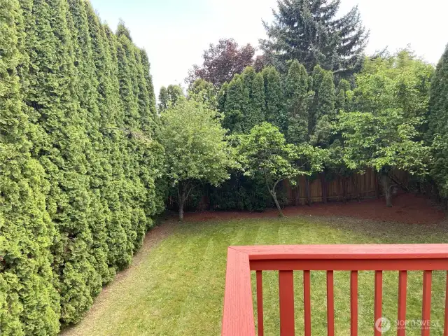 The arborvides trees create a peaceful area to enjoy. Beautifully maintained landscaping and backyard.