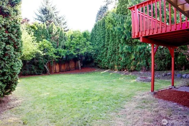 Mature fruit trees, apple and asian pear, produce lots of fruit in the fall!