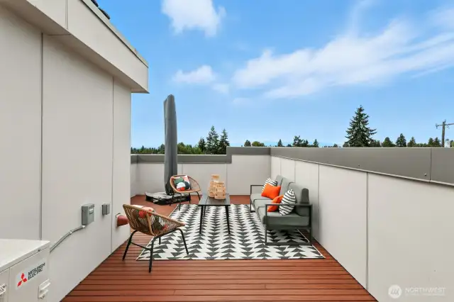 Private roof top deck with 360 views of Ballard, City, Ocean and Mountains
