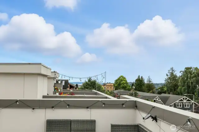 Private roof top deck with 360 views of Ballard, City, Ocean and Mountains