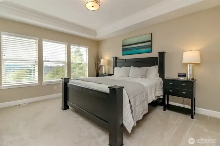 primary bedroom upstairs with a view