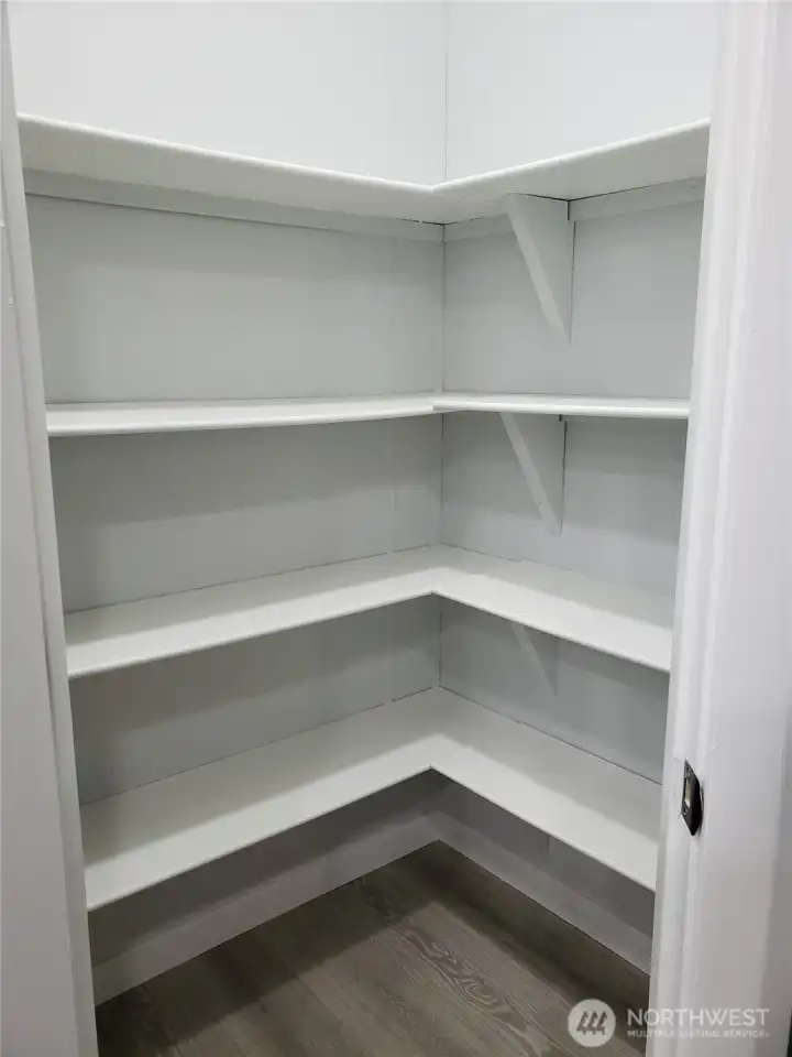 Close up View of the Walk In Pantry with 4 Shelves for a lot of Storage.