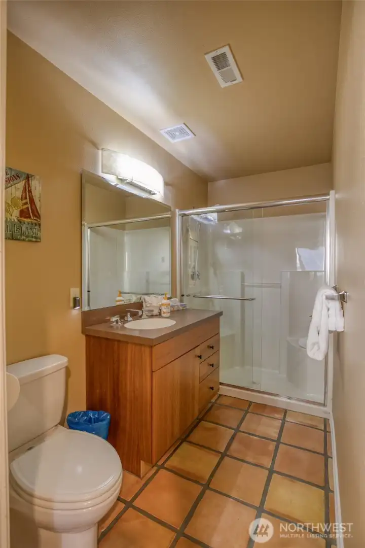 Lower Level Bathroom