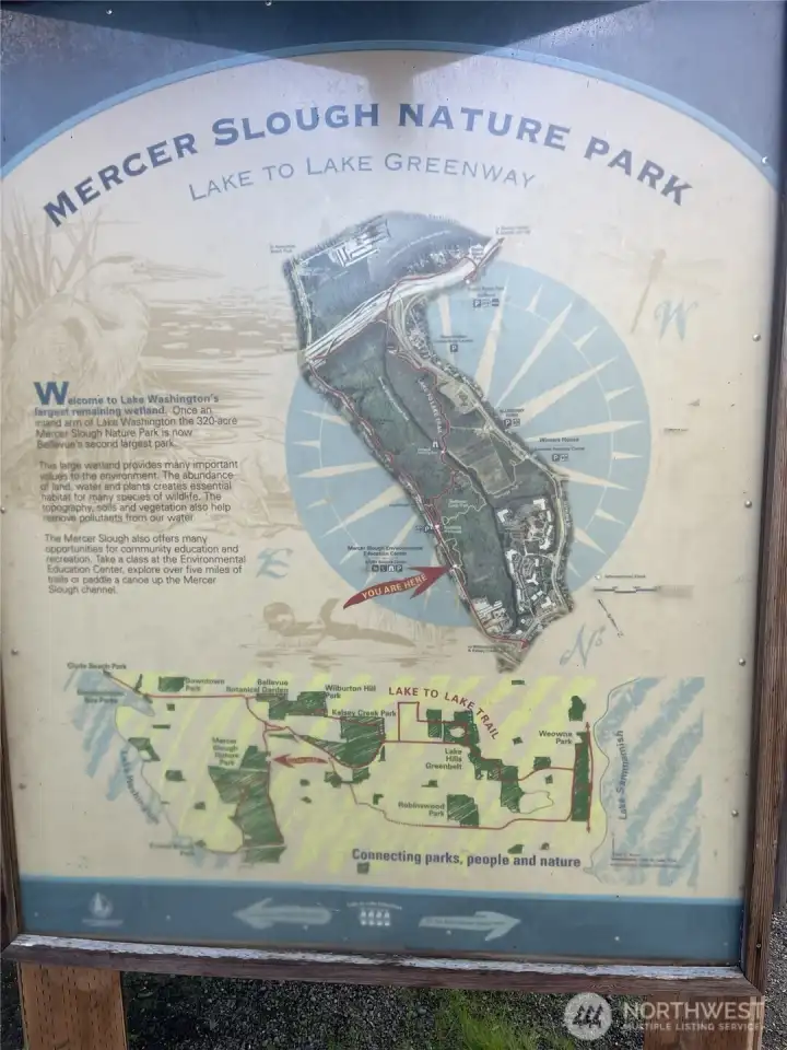 Across the street from the Mercer Slough Park