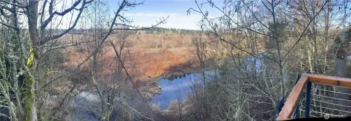 Trails and boardwalks throughout the park