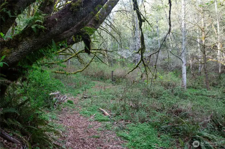 Trail to hidden valley