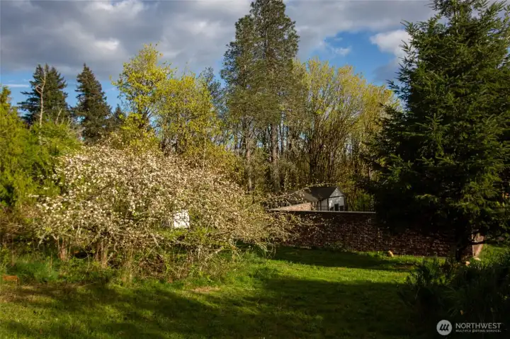 Apple blossoms, plum trees, grape vines and the infamous blackberries.