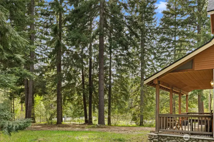 Perimeter of trees offer privacy.