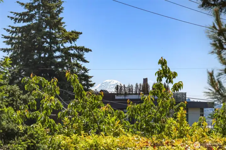 Mt Rainier view from upper floor.