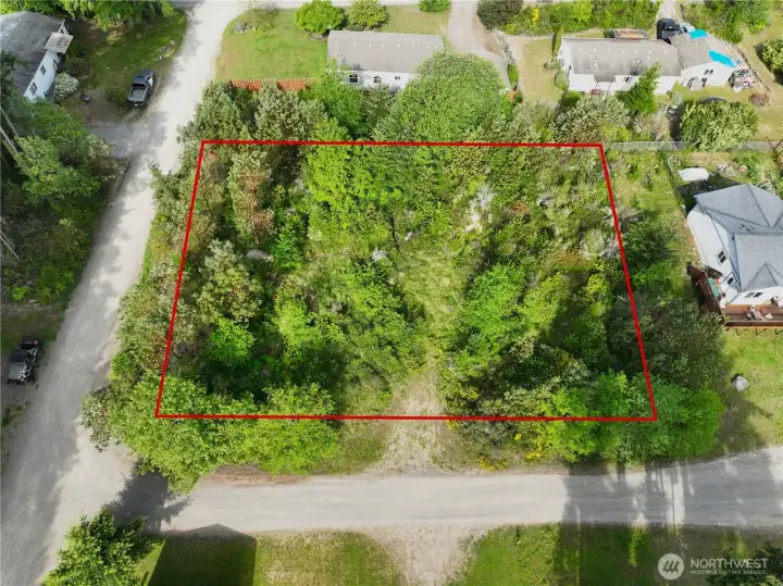 looking at the existing drivway entrance on S. Andrews. Not much to look at now, but with this vegitation, placing a home there and keeping some of the native plants and trees would look terrific. I had big plans for landscaping this parcel.