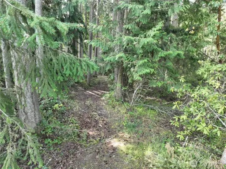 Trail system leading to the water