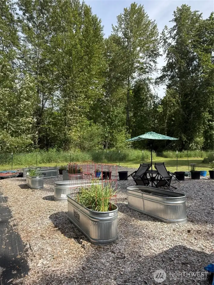 Garden area `