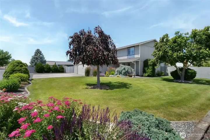 Beautiful landscaping Beautiful landscaping