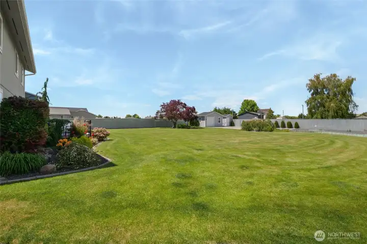 Expansive backyard Expansive backyard