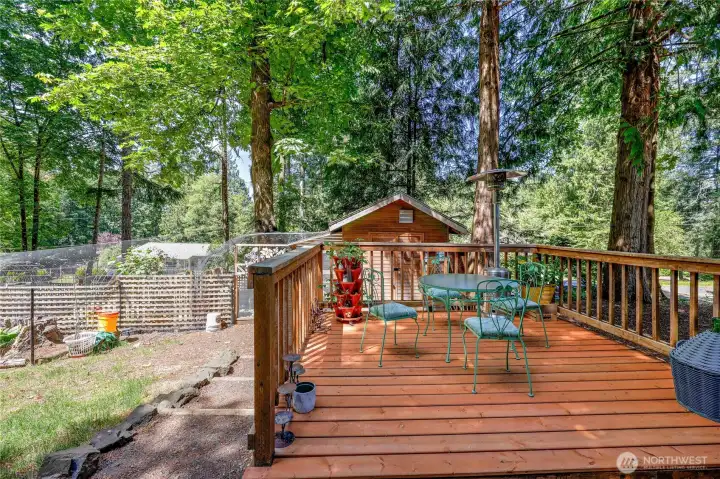 Rear Deck, Chicken Coop