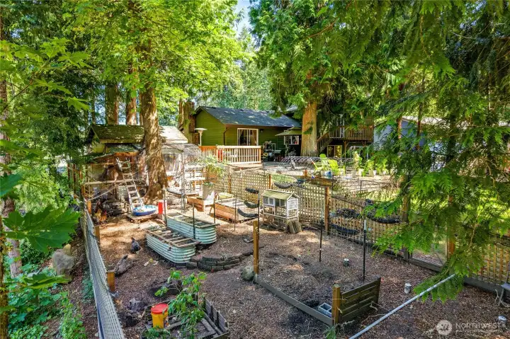 Chicken Coop, Chickens can stay or go, buyer choice