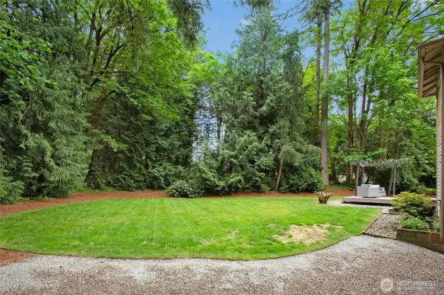 A large yard provides plenty of space to play!