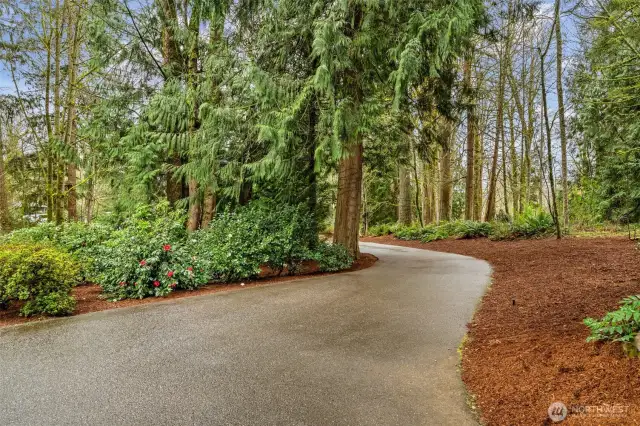 The long driveway leads you to your private oasis!