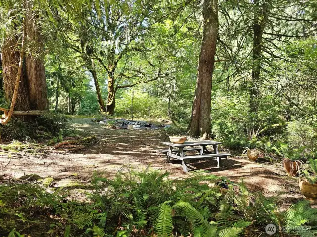 Outdoor dining area and firepit