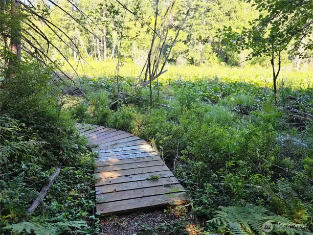 quiet boardwalk along the waterfront