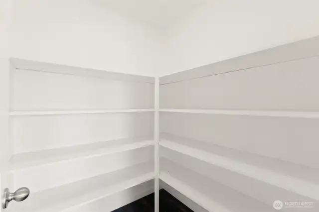 Large Pantry with lots of shelving