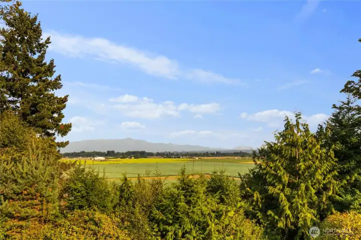 Overlooking the Skagit Valley Farmlands & Cascade mountains.