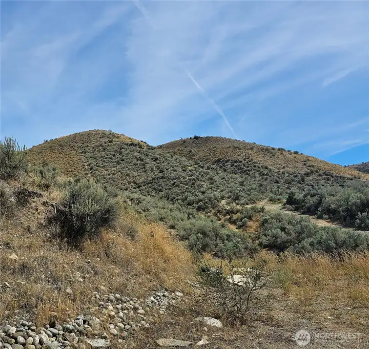 View of hills behind hobby shed