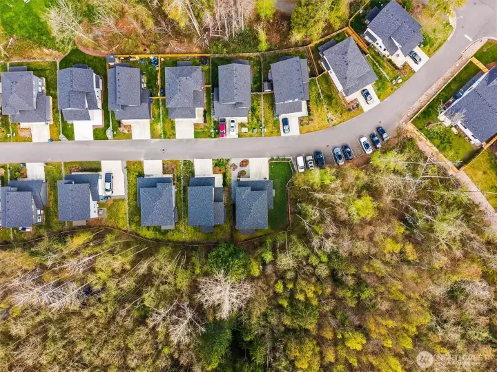Surrounded by trees in a nature reserve.