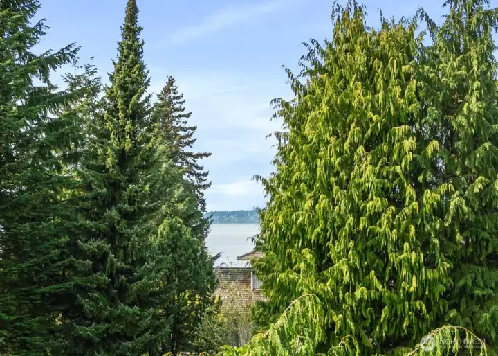 Deck view - upper level