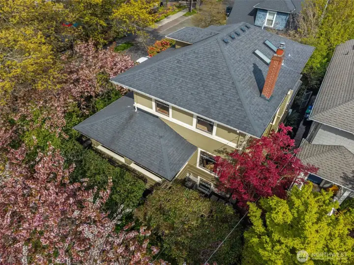 Westside of property