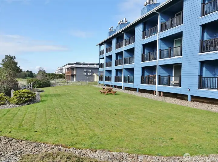Backyard of the Nautilus building.