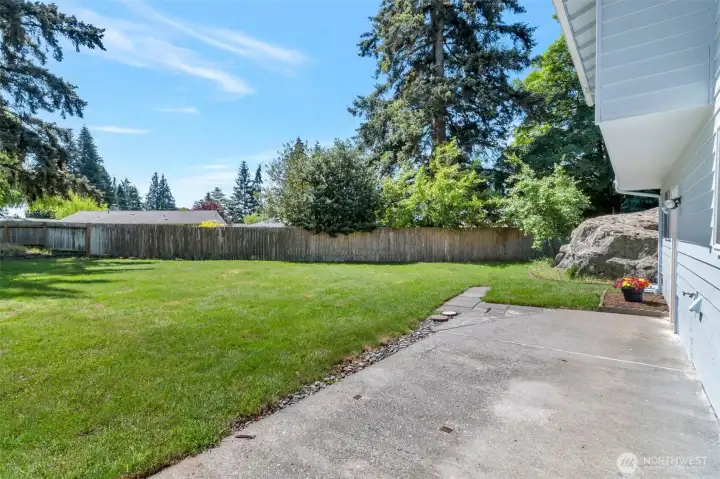 Back yard patio.