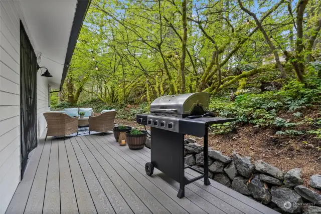 Great entertaining space out back with canopy style vegetation.