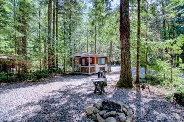 Amazing shed with multiple uses